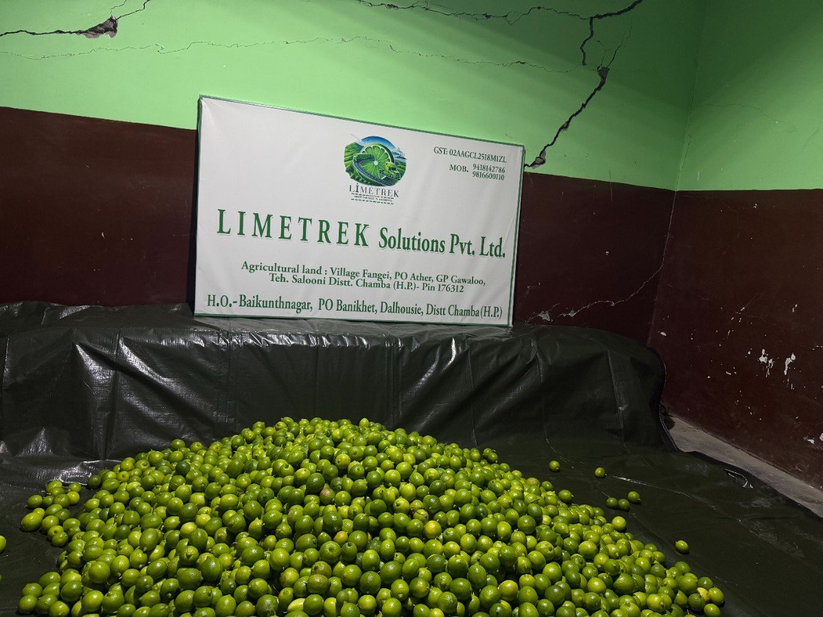 Agricultural Market Linkage